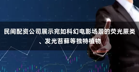 民间配资公司展示宛如科幻电影场景的荧光蕨类、发光苔藓等独特植物